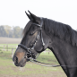 Preview: Hacking Bridle SOLIBEL