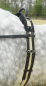 Preview: Busse Longiergurt mit Handgriff