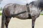 Preview: USG Lehmann Trainingssystem, Trainingsband zum longieren