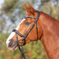 Preview: Kieffer Bridle Ultrasoft© KI_Amy