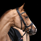 Preview: Kieffer Bridle Ultrasoft© KI_Amy