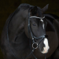 Preview: Kieffer Bridle Ultrasoft© Amy SHINE