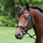 Preview: Kieffer  prev next Snaffle Bridle  " MAGIC TACK " , single-row,  flash with chin pad
