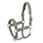 Preview: Eskadron Platinum Halfter " DOUBLEPIN CROCO " Stallhalfter mit Crocooptik