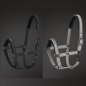 Preview: Eskadron Headcollar Platinum MESH GLITTER -limited edition-