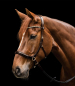 Preview: Waldhausen X-Line Bitless Bridle Sensation
