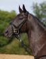 Preview: Kieffer Snaffle Bridle " Comfort VERONA " , crank flash