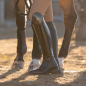Preview: Busse Riding-Boots LYON, black