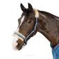 Preview: Eskadron Halfter mit Lammfell mit Dornschnalle  "  Classic Sports  "