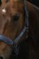 Preview: Eskadron ESSENCE Headcollar DOUBLEPIN " VELVET STAMP "