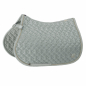 Preview: Eskadron HERITAGE Schabracke " GLITTER - MESH " antique green, plaza taupe, sea salt