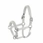Preview: Eskadron Platinum Headcollar " DOUBLEPIN CRSYTAL "