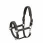 Preview: Eskadron ESSENCE Headcollar DOUBLEPIN " VELVET STAMP "