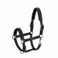 Preview: Eskadron ESSENCE Headcollar DOUBLEPIN " VELVET STAMP "