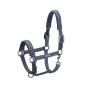 Preview: Eskadron ESSENCE Headcollar DOUBLEPIN " VELVET STAMP "