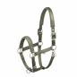 Preview: Eskadron Classic Sports Headcollar " MATTGLOSS JEWEL DOUBLE PIN " , Shetty