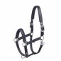 Preview: Eskadron Classic Sports Headcollar " MATTGLOSS JEWEL DOUBLE PIN " , Shetty
