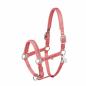 Preview: Eskadron Classic Sports Headcollar " MATTGLOSS JEWEL DOUBLE PIN "
