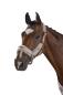 Preview: Eskadron Halfter mit Dopperdornschnalle FAUXFUR, Stallhalfter