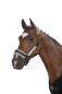 Preview: Eskadron Halfter mit Dopperdornschnalle FAUXFUR, Stallhalfter