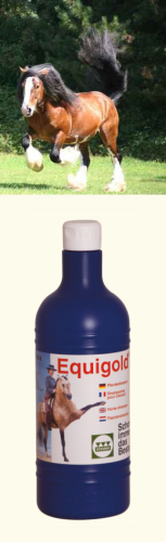 Stassek Horse Shampoo, 500ml