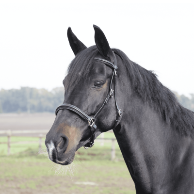 Hacking Bridle SOLIBEL