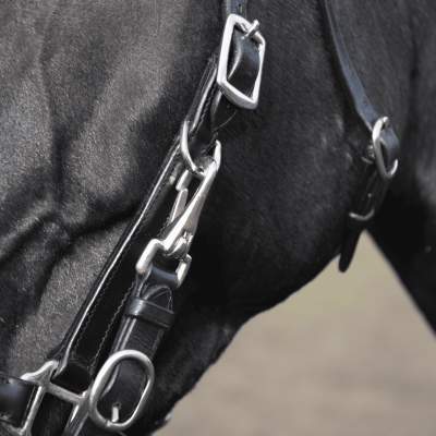 Hacking Bridle SOLIBEL