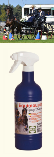 Stassek Schaum - Sprayshampoo " EQUIMOUSSE " mit Sprüher, 500ml