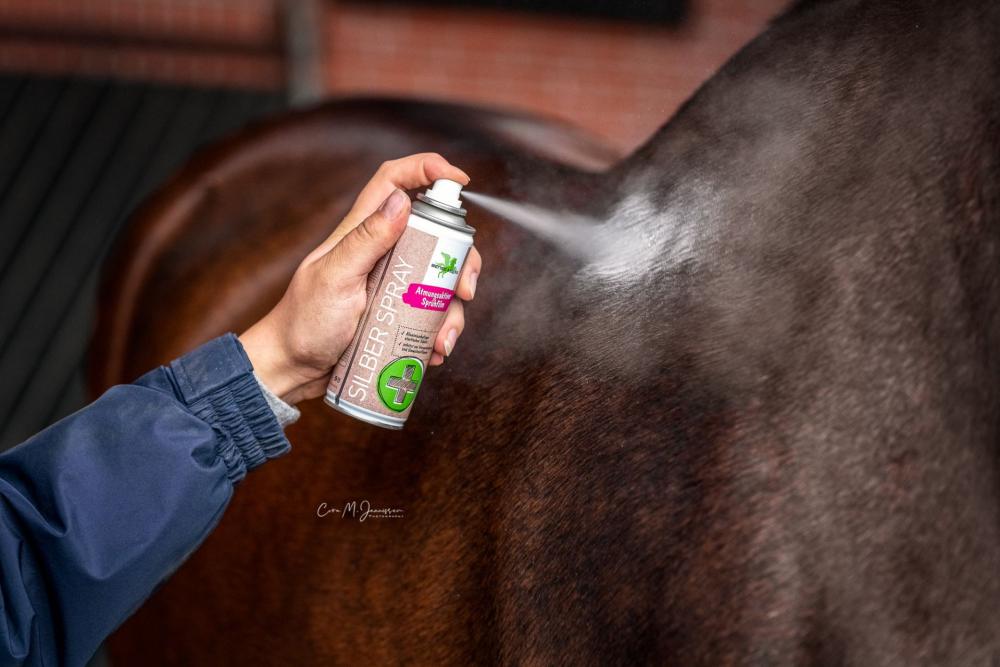 Preview: Bense & Eicke Silber Spray 200 ml