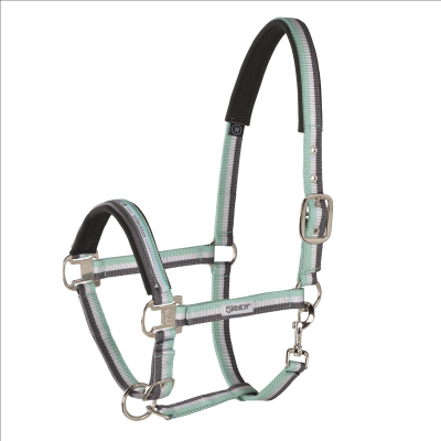 Preview: Eskadron Halfter mit Dornschnalle, racinggreen, blackberry, ice, powderrose