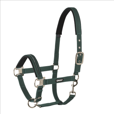 Eskadron Halfter mit Dornschnalle, racinggreen, blackberry, ice, powderrose