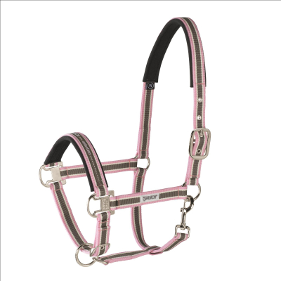 Preview: Eskadron Halfter mit Dornschnalle, racinggreen, blackberry, ice, powderrose