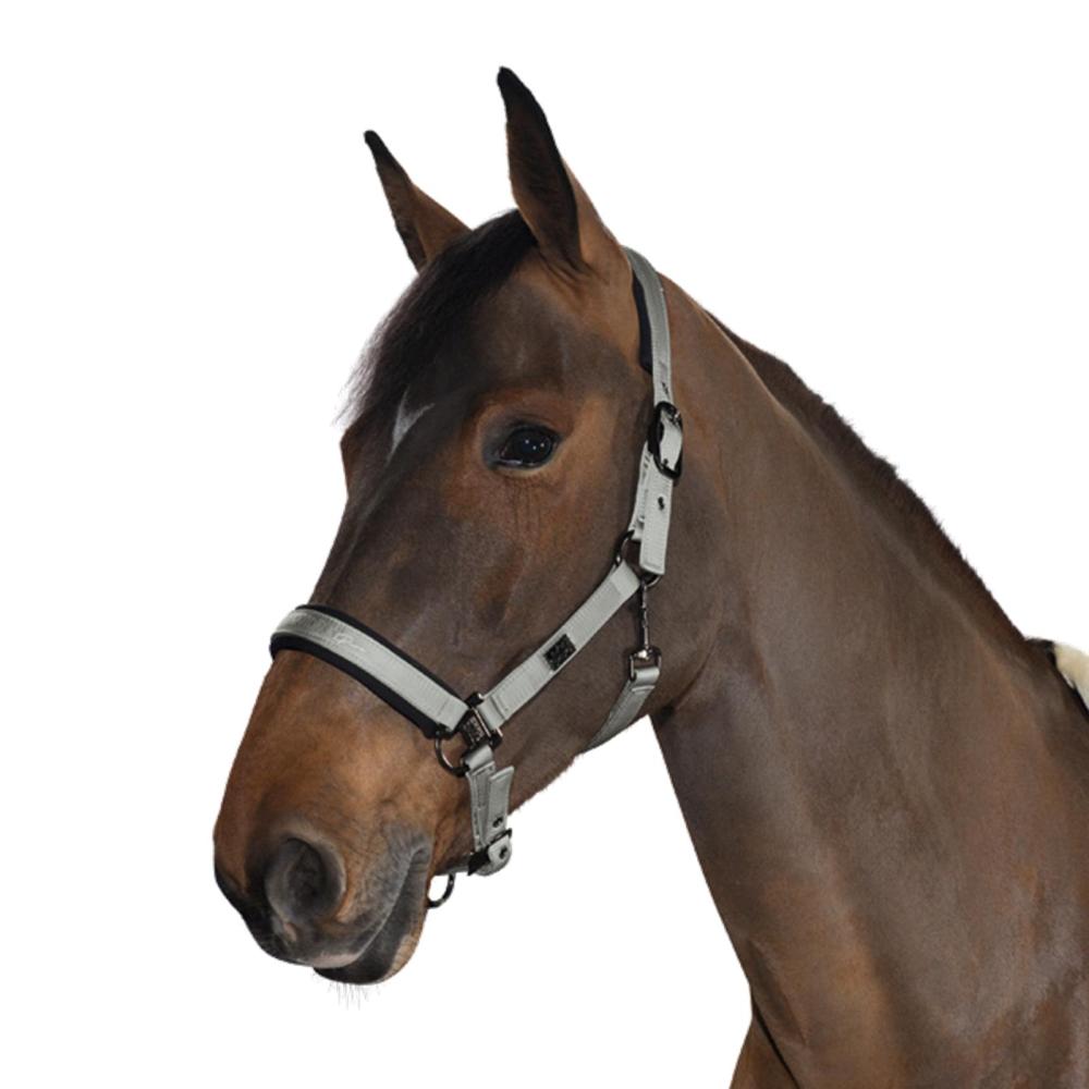 Eskadron Headcoller GLOSSY  " Platinum PURE " , silvergrey