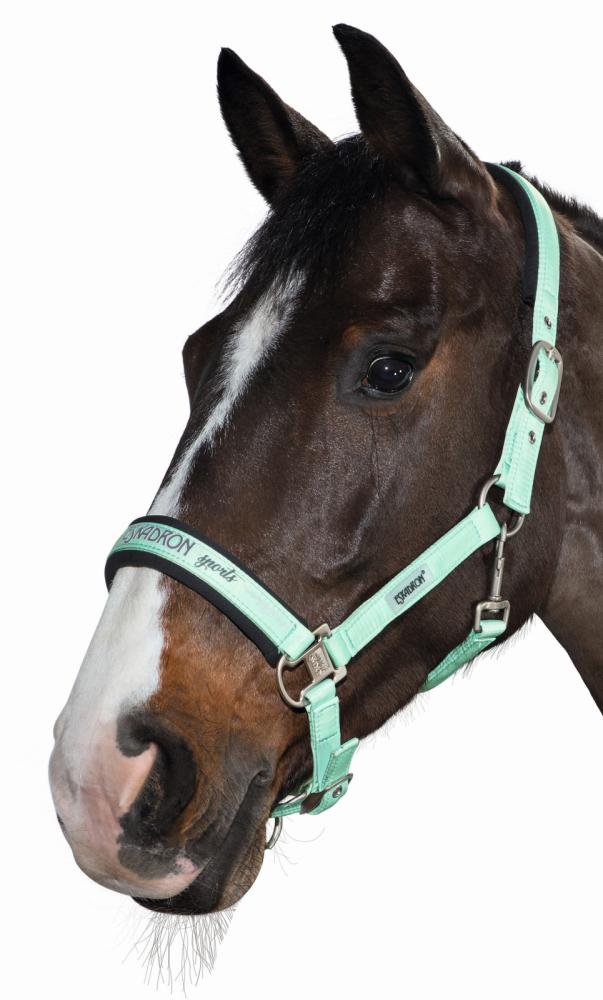 Preview: Eskadron Halfter GLOSSY mit Dornschnalle    " Classic Sports  "