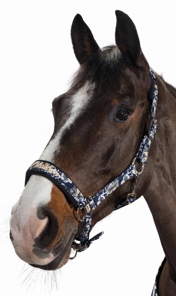 Preview: Eskadron Halfter GLOSSY mit Dornschnalle    " Classic Sports  "