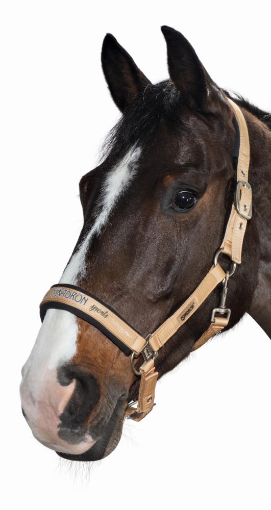 Preview: Eskadron Halfter GLOSSY mit Dornschnalle    " Classic Sports  "
