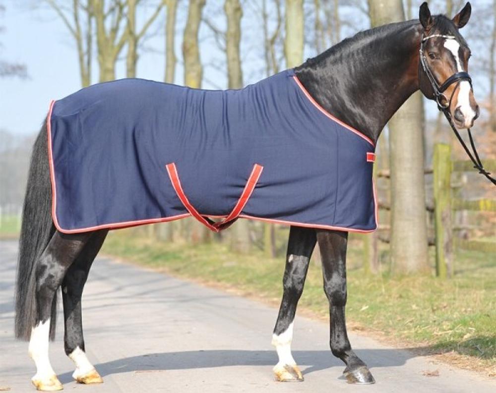 Kavalkade Coller Jersey