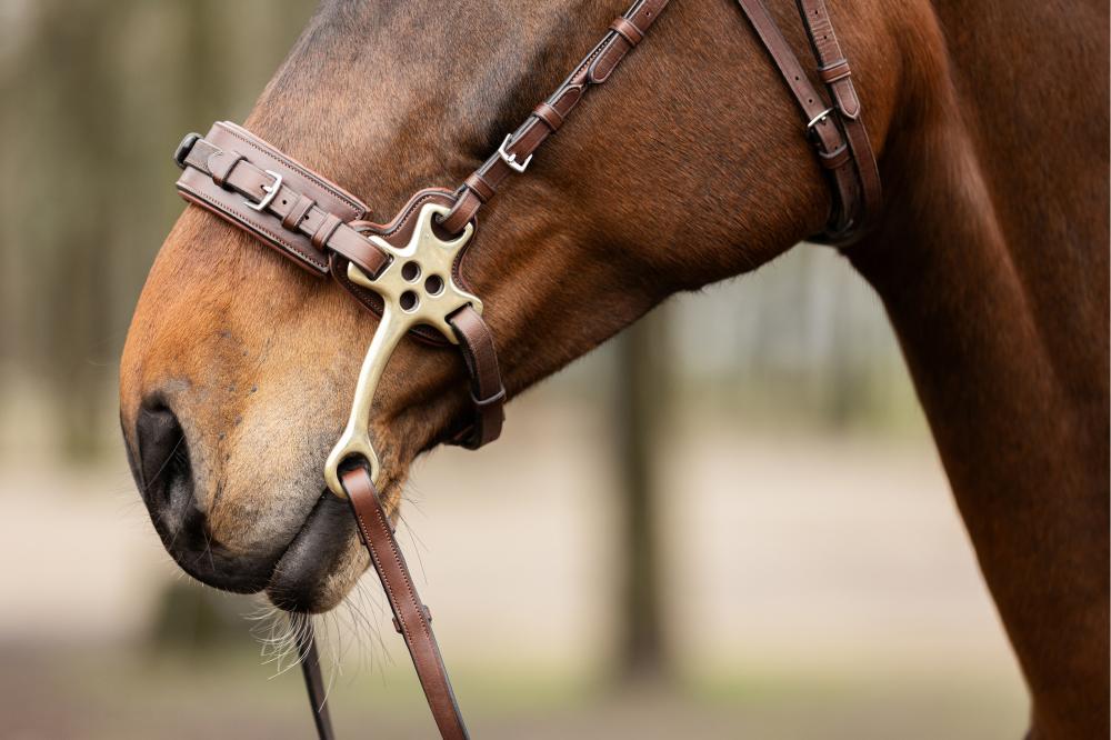 TRUST Hackamore noseband
