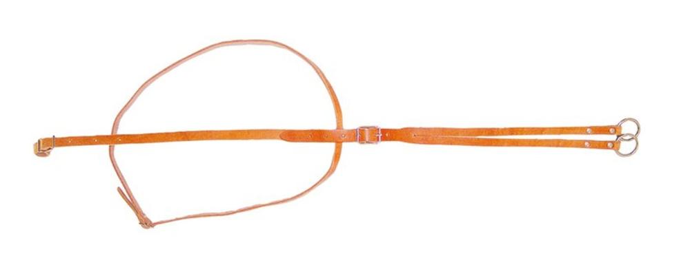 Westernmartingal, Martingal Harness, natur, Vollblut