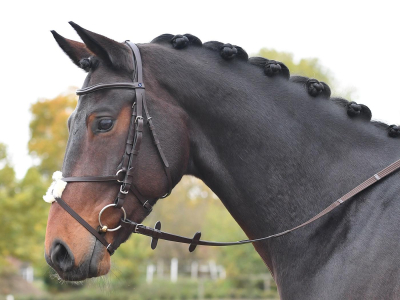 Busse Bridle MEXICO II