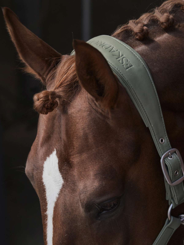 Eskadron Platinum Headcollar " DOUBLEPIN LEATHER "