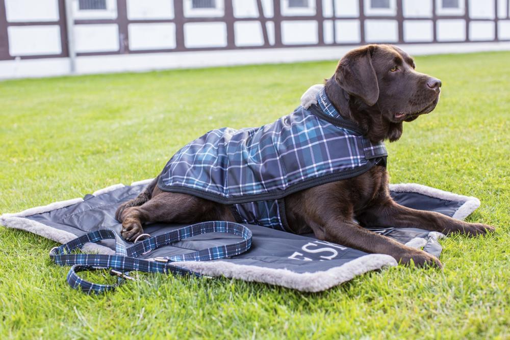 Preview: Eskadron Hundehalsbandset, Hundehalsband und Leine, caviar-white-tealblue