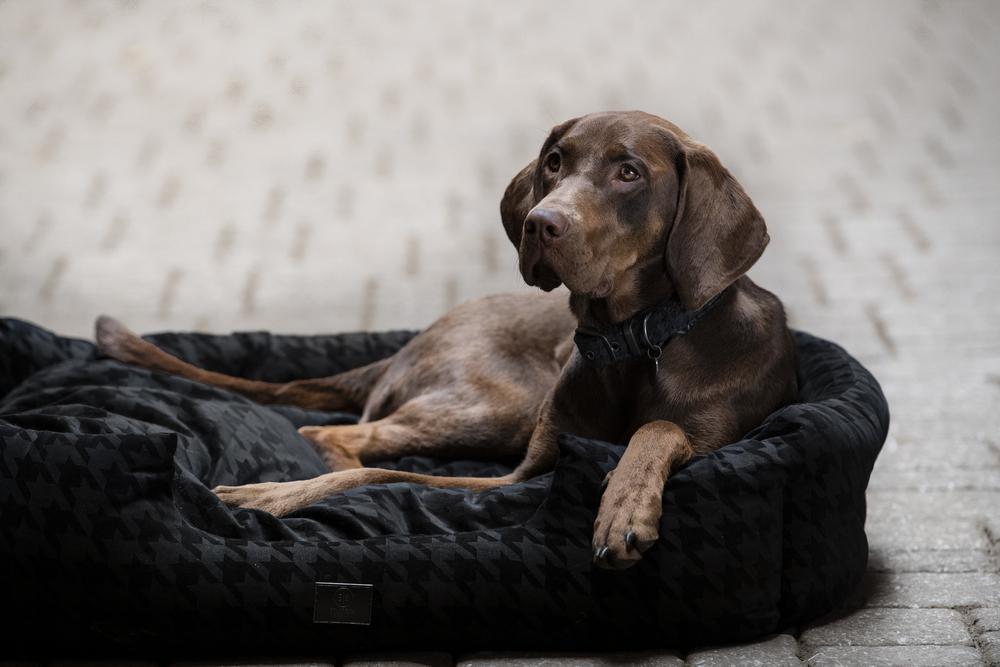 Preview: Eskadron ESSENCE Hundebett " VELVET STAMP " black mit Hahnentritt - Optik