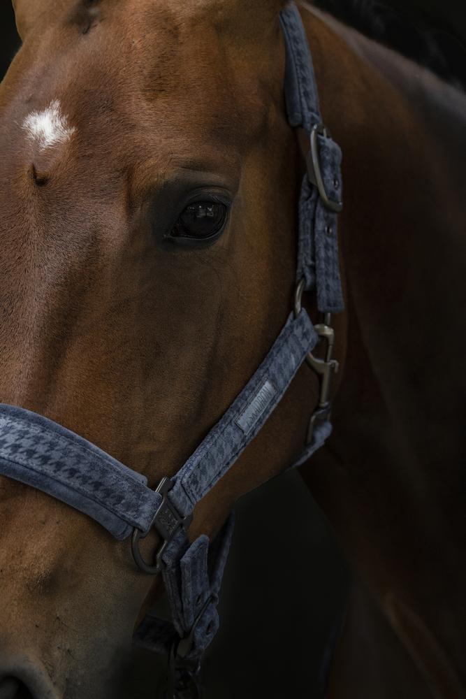 Eskadron ESSENCE Headcollar DOUBLEPIN " VELVET STAMP "