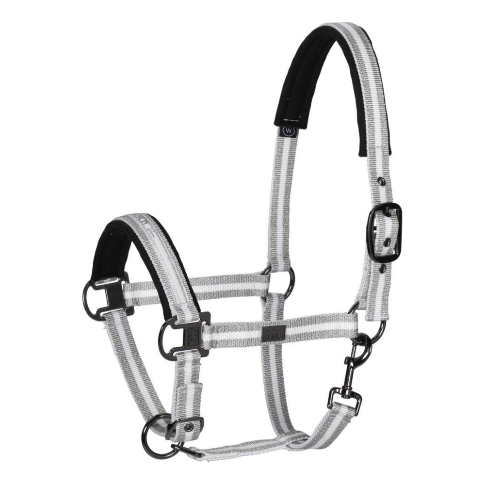 Eskadron Headcoller Pin Buckle  " Platinum PURE 2019 "