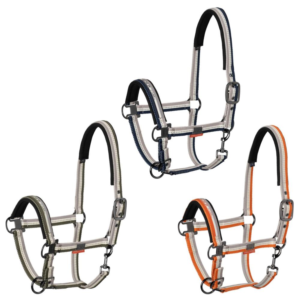 Eskadron Halfter Dornschnalle Platinum " STRIPED  "