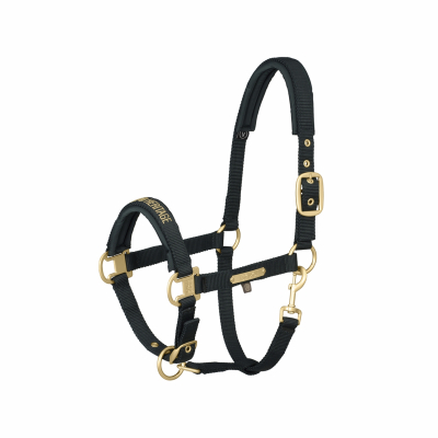 Eskadron HERITAGE Headcoller Pin Buckle