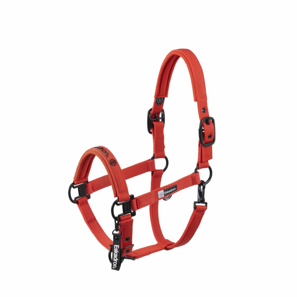 Preview: Eskadron DYNAMIC Halfter mit beidseitigem Dornschnallenverschluss " DOUBLE PIN "