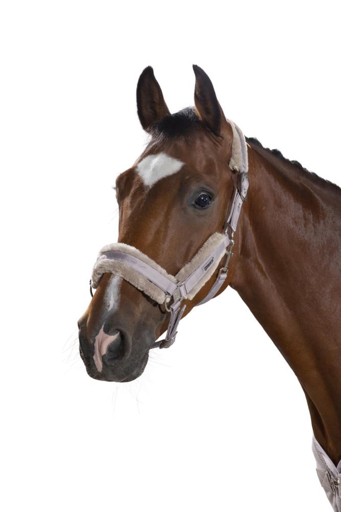 Preview: Eskadron Halfter mit Dopperdornschnalle FAUXFUR, Stallhalfter