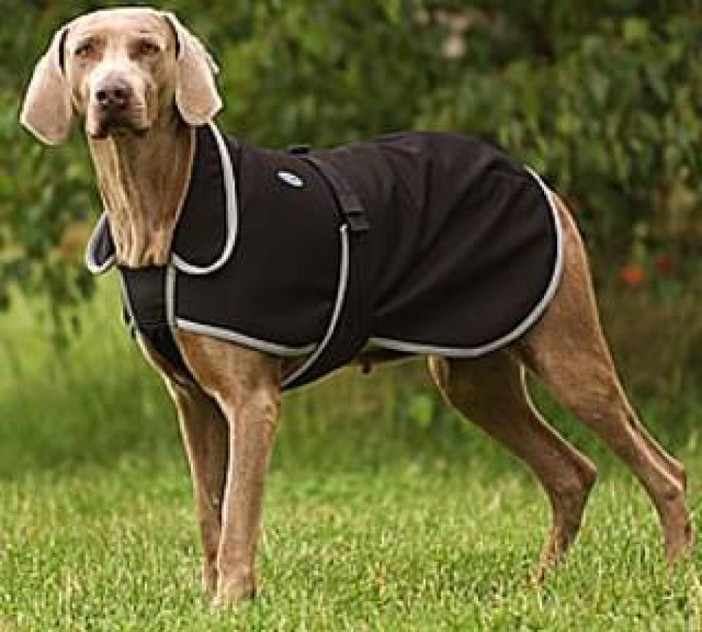 Preview: Hundedecke, Hundemantel, Hundejacke, SoftShell